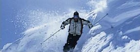 Utah Ski Planners for Snowbird Ski Resort