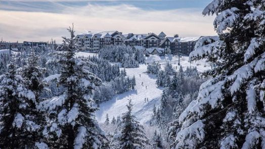 Isn't It Time You Skied Salt Lake